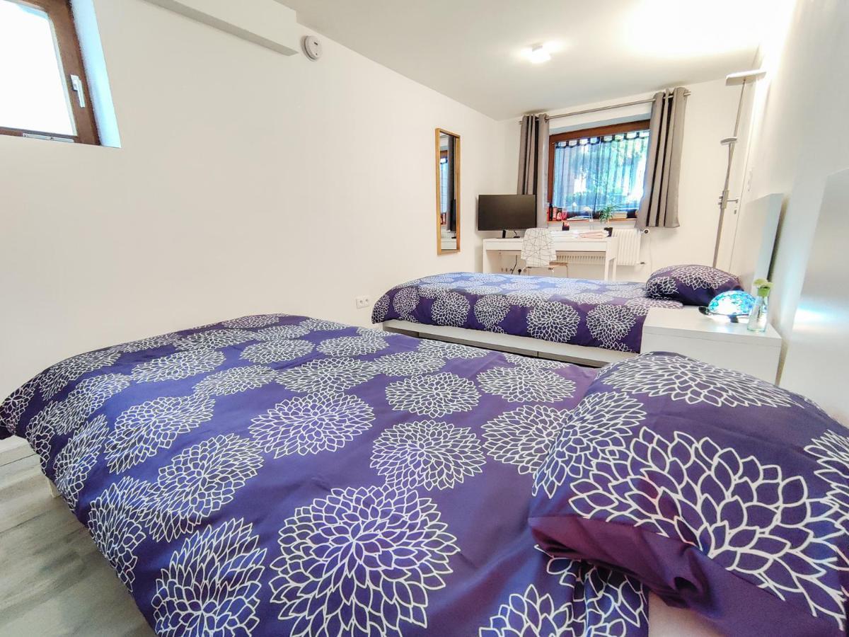 Tranquil City Haven Close To Airport & Basel Saint-Louis  Extérieur photo